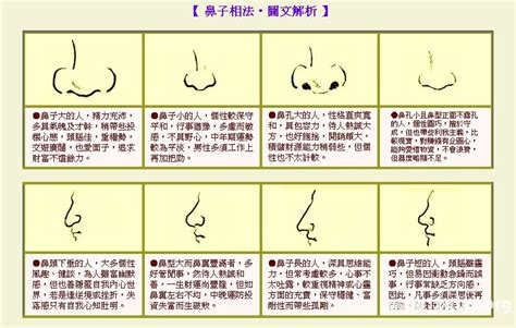 肉鼻子面相|面相入门